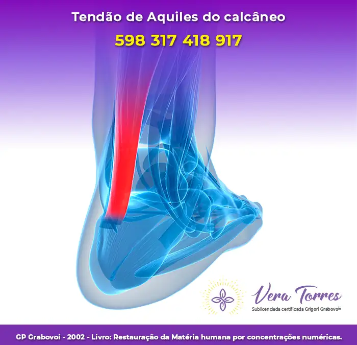 Tendão de Aquiles do calcâneo – 598 317 418 917