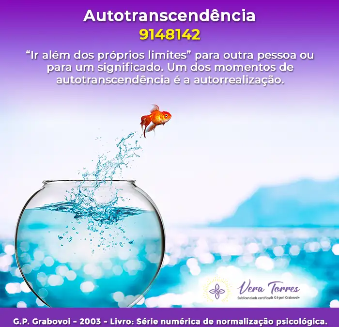 Autotranscendência – 9148142