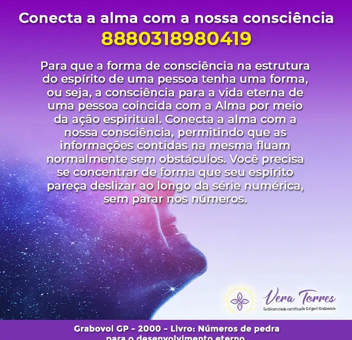 Conecta a alma com a nossa consciência – 8880318980419