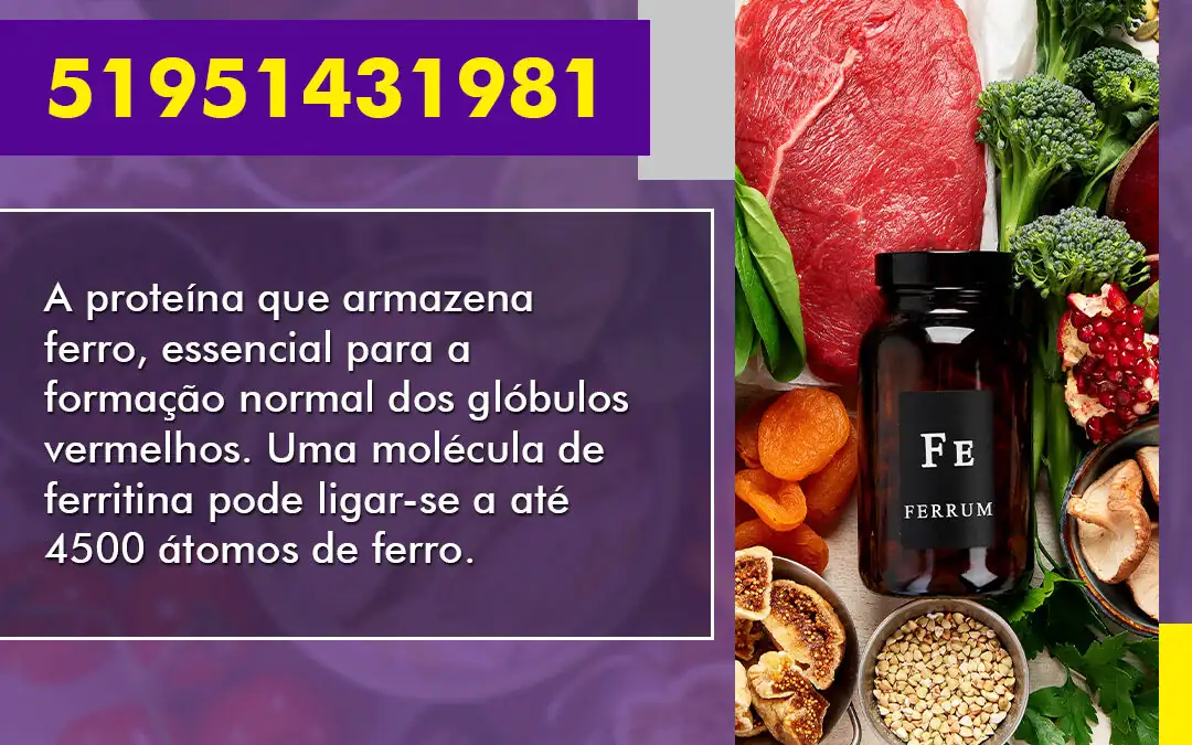 Ferritina – 51951431981