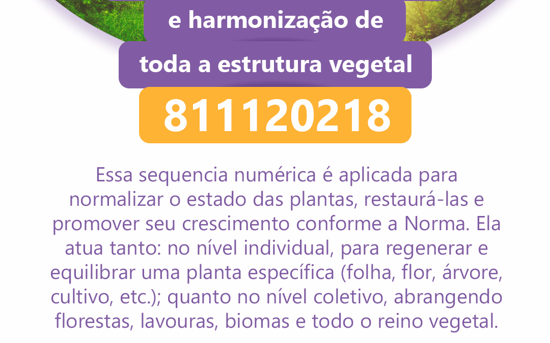 Normalização, restauração e harmonização de toda a estrutura vegetal – 811120218